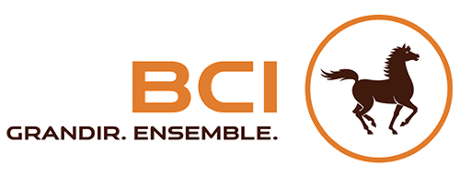 International Commercial Bank (BCI)